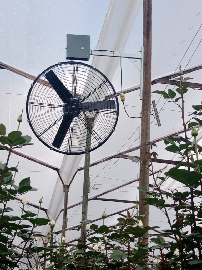 Extractor de ventilación instalado en el costado de un invernadero para regular la humedad